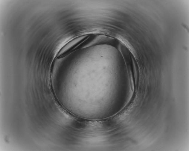 X0000091540850200708171242