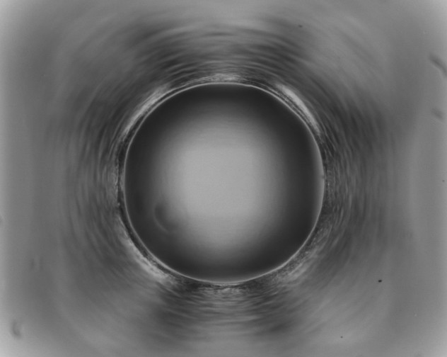 X0000091540851200708171242