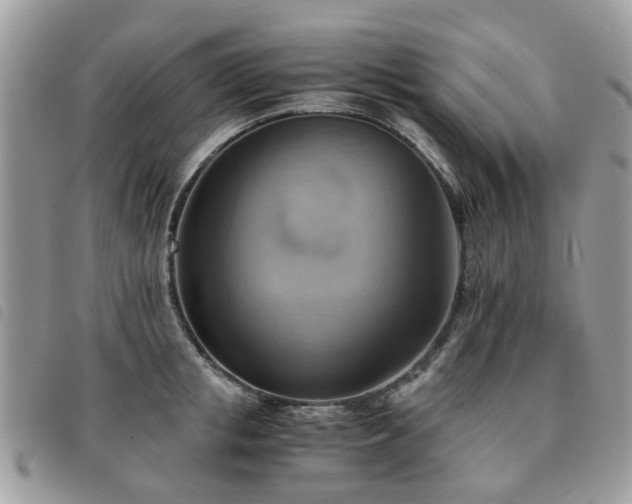 X0000091540853200708171242