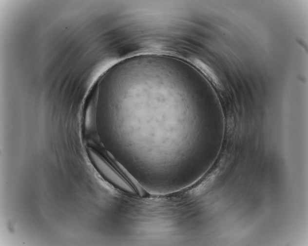 X0000091540854200708171242