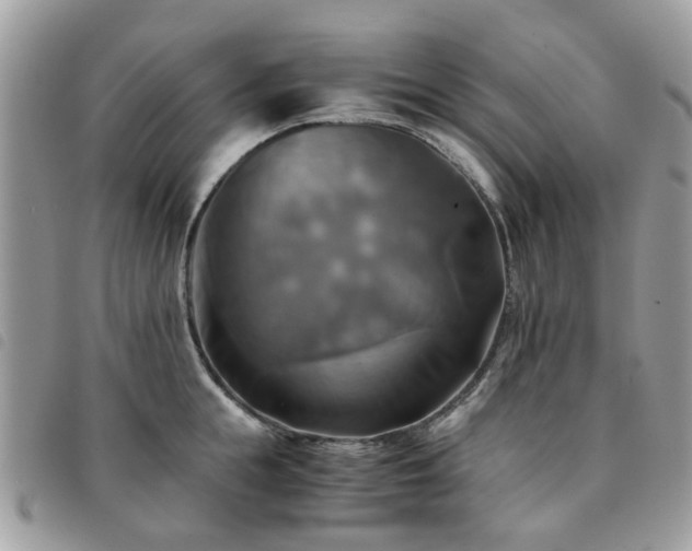 X0000091540855200708171242