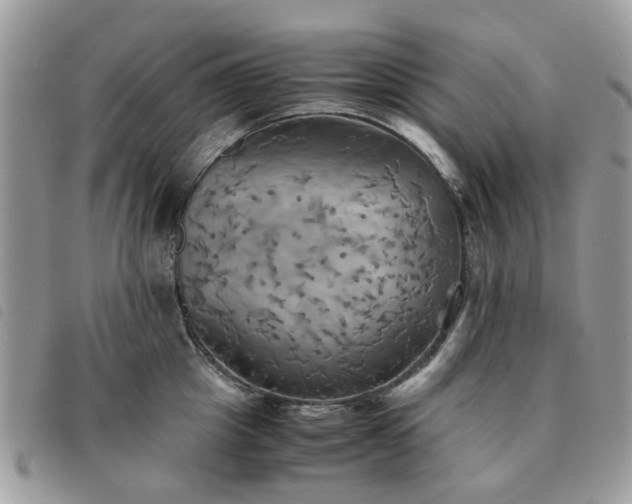 X0000091540857200708171242