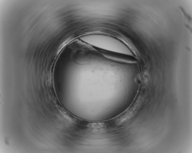 X0000091540858200708171242