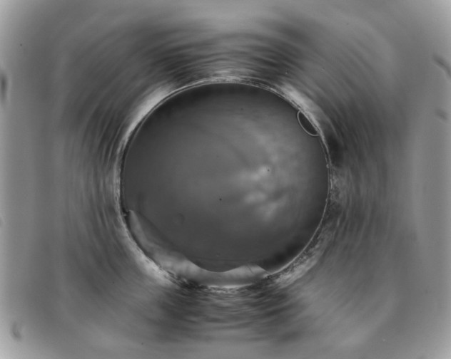 X0000091540859200708171242