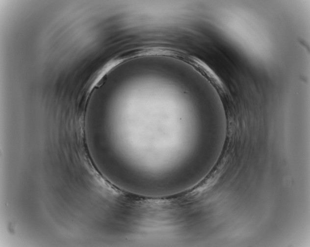 X0000091540860200708171242