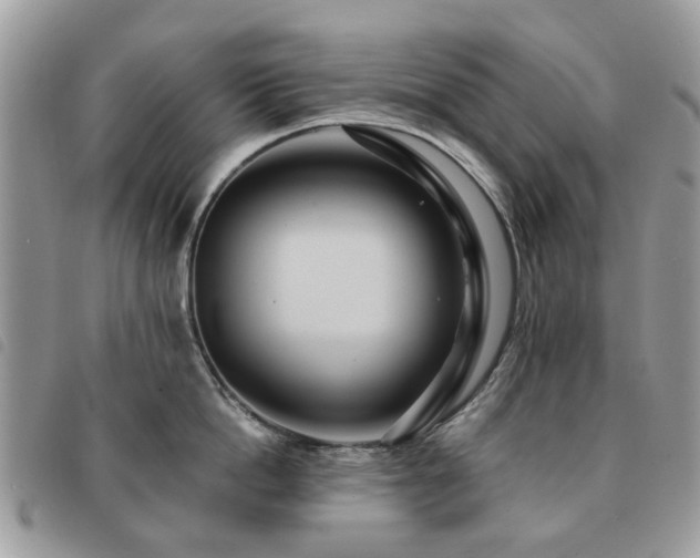 X0000091540862200708171242