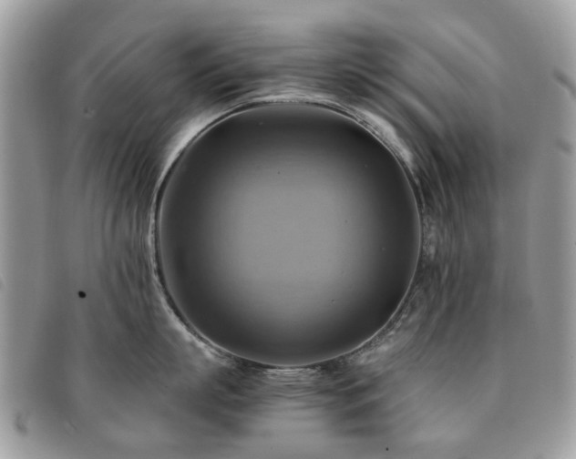 X0000091540863200708171242