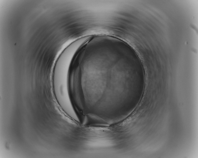 X0000091540864200708171242