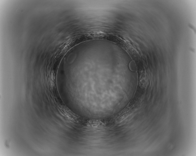 X0000091540866200708171242