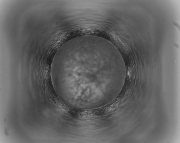 X0000091540867200708171242
