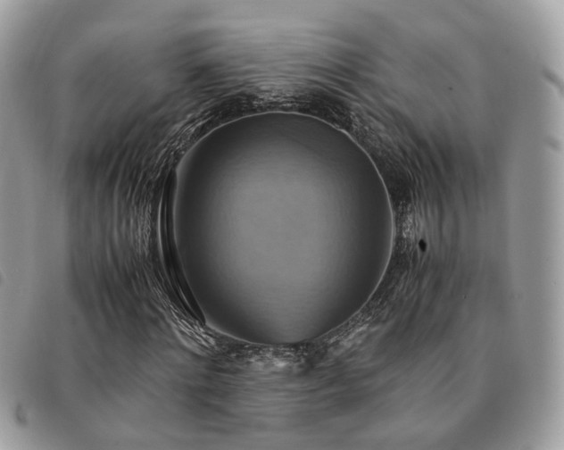 X0000091540868200708171242