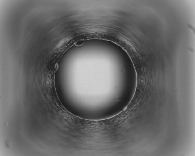 X0000091540869200708171242