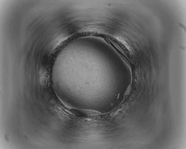 X0000091540872200708171242