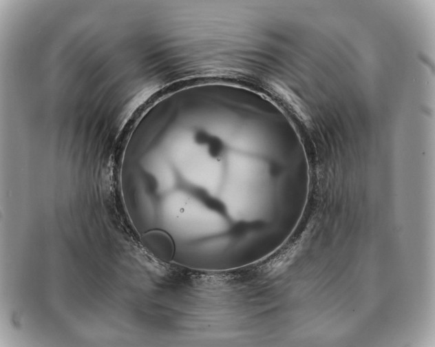 X0000091540875200708171241