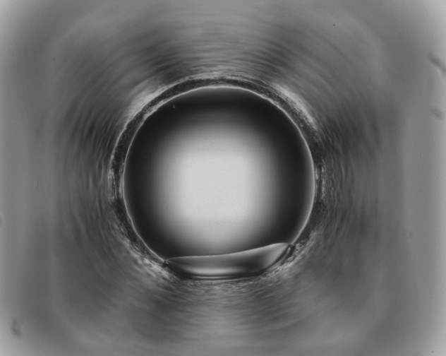 X0000091540876200708171241