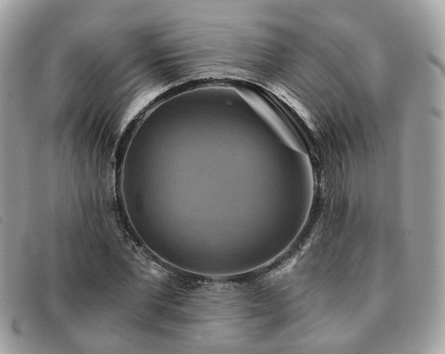 X0000091540877200708171241