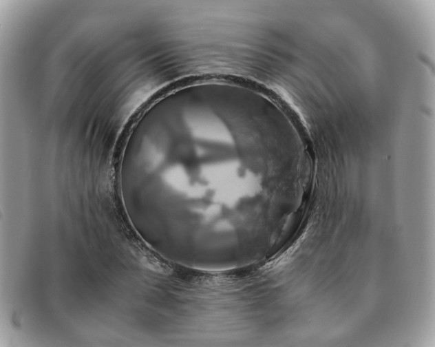 X0000091540879200708171241