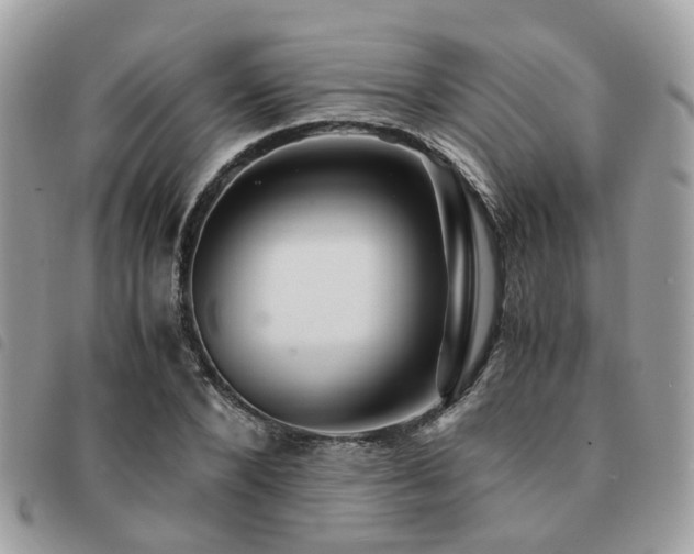 X0000091540880200708171241