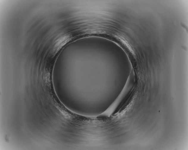 X0000091540881200708171241