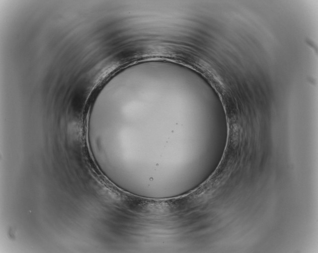 X0000091540882200708171241