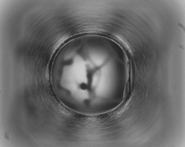 X0000091540883200708171241