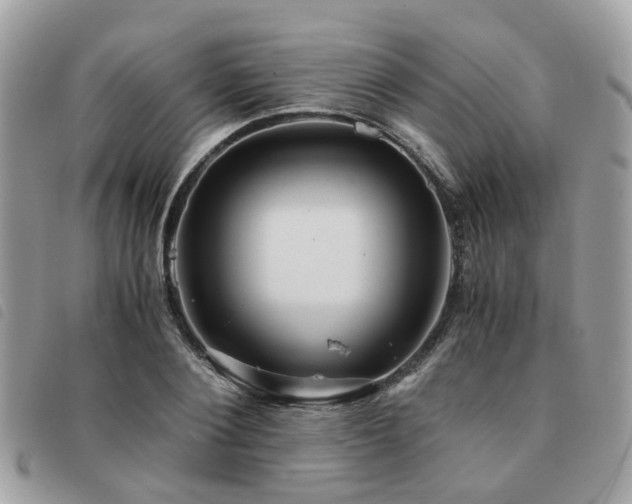 X0000091540884200708171241