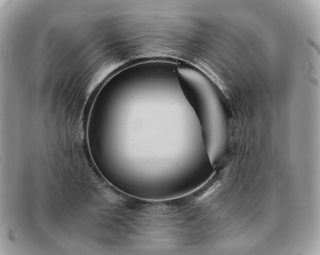 X0000091540885200708171241