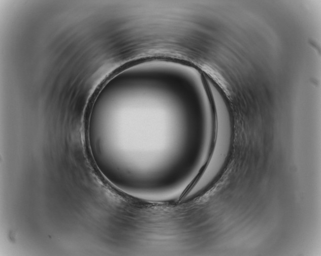 X0000091540888200708171241