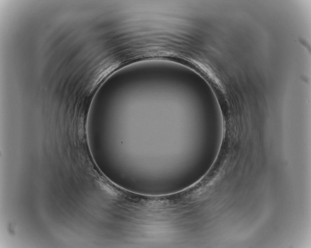 X0000091540889200708171241