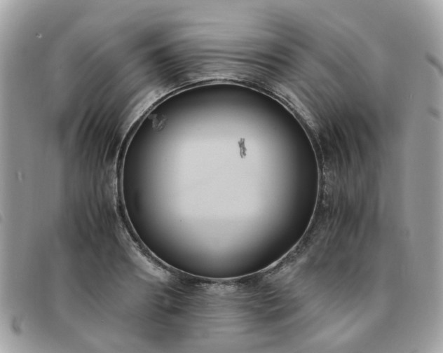 X0000091540890200708171241