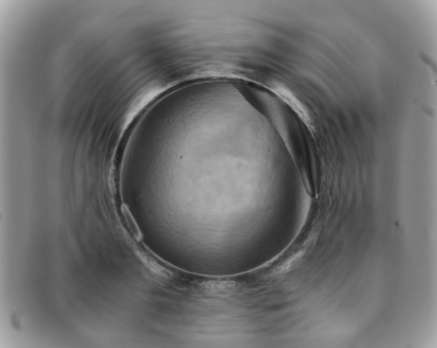 X0000091540893200708171241