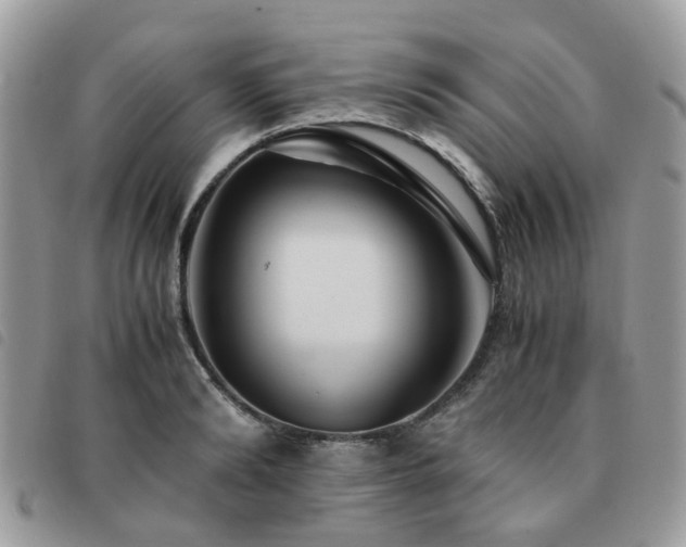 X0000091540894200708171241
