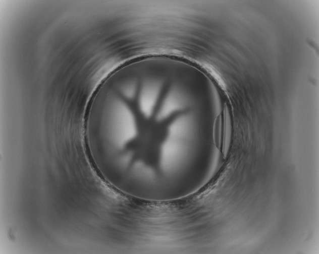 X0000091540895200708171241