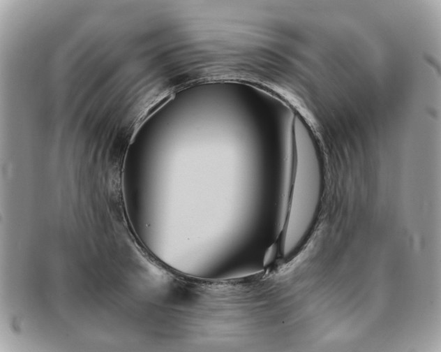 X0000091540897200708171241