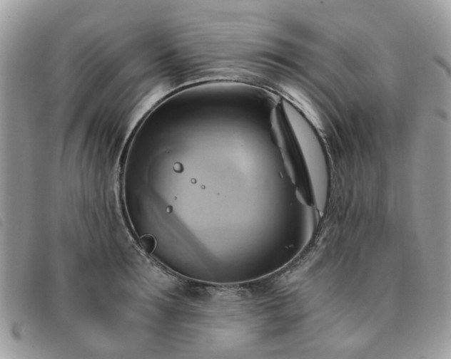 X0000091540899200708171241