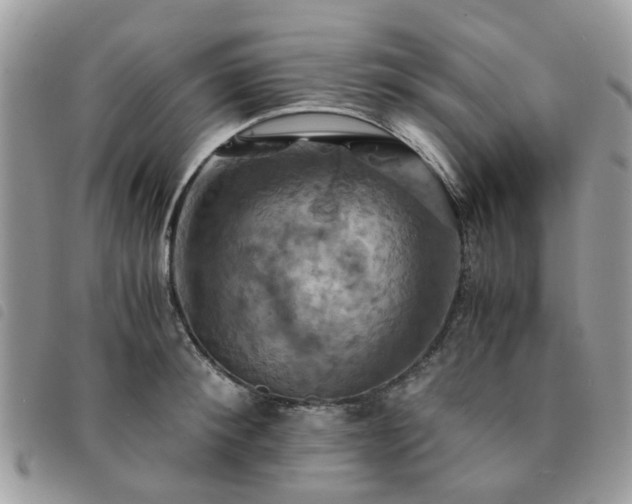 X0000091540900200708171241
