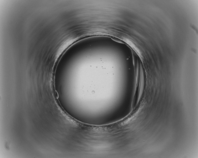 X0000091540901200708171241