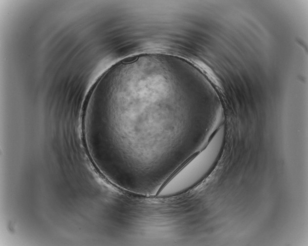 X0000091540904200708171241