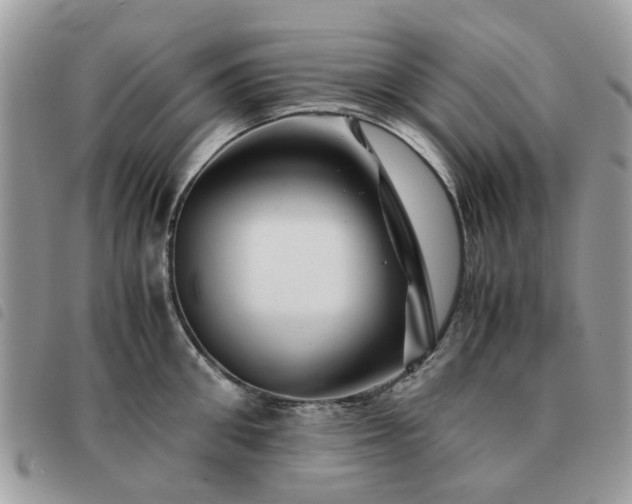 X0000091540906200708171241