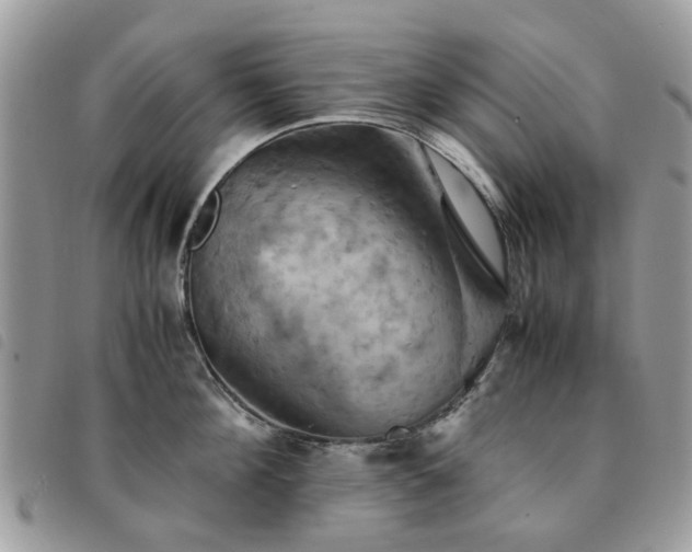 X0000091540908200708171241
