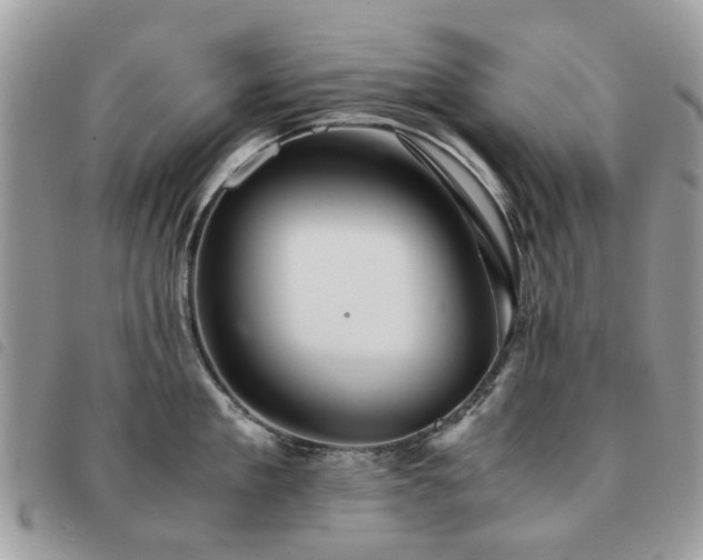 X0000091540909200708171241
