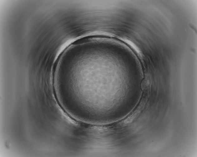 X0000091540910200708171241