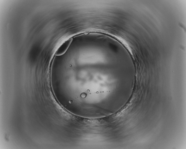 X0000091540911200708171241