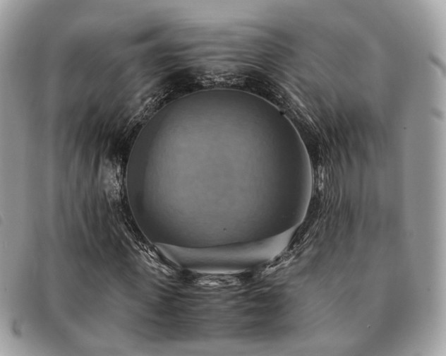 X0000091540915200708171240