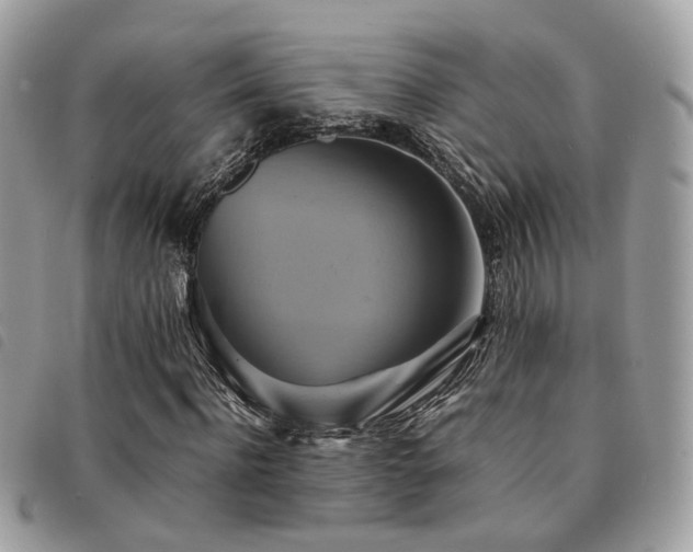 X0000091540916200708171240