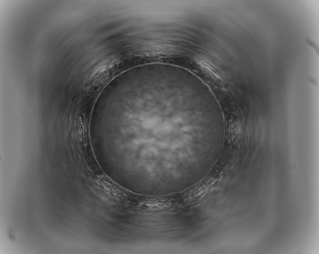 X0000091540917200708171240
