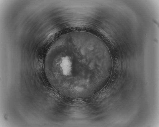 X0000091540918200708171240