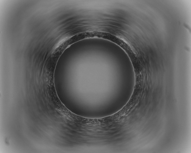 X0000091540919200708171240
