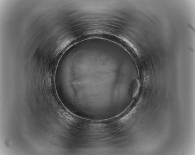 X0000091540921200708171240