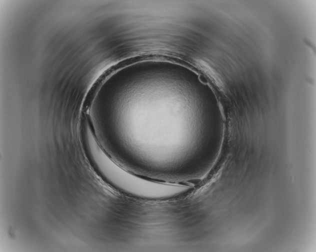 X0000091540924200708171240